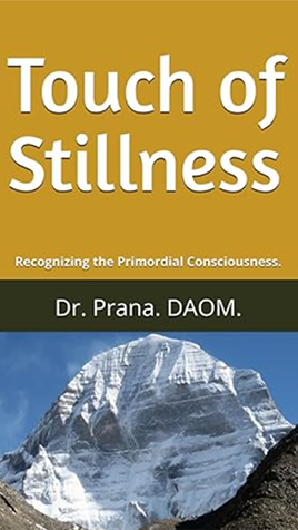touch of stillness
